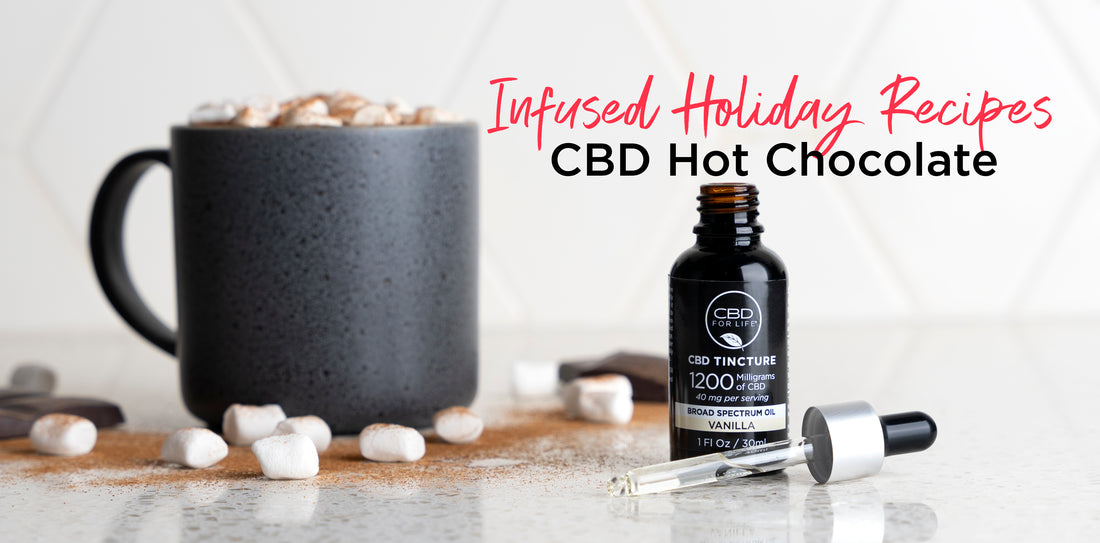 Try Our CBD Hot Chocolate Recipe