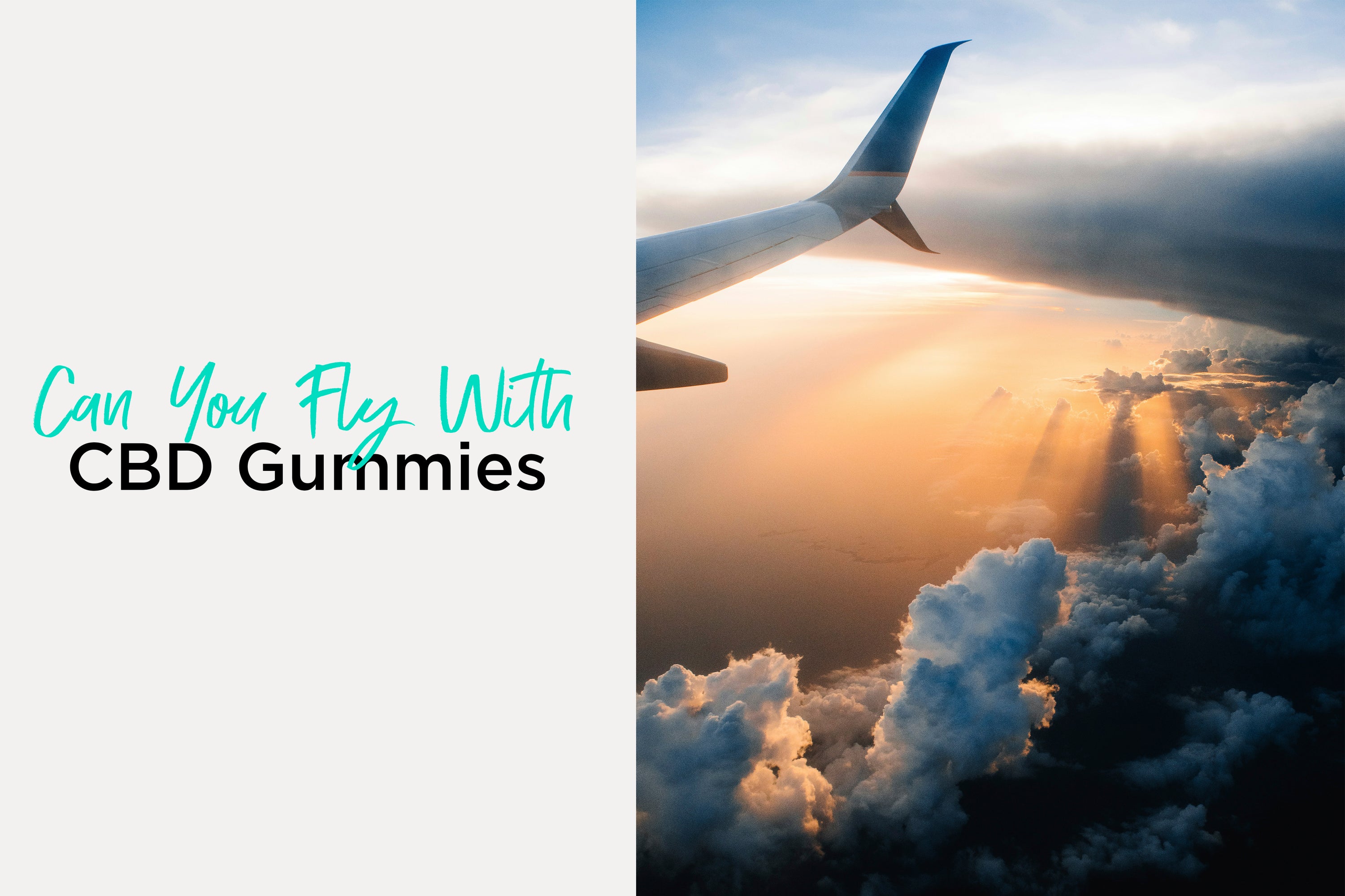 Can You Fly With CBD Gummies - Everything You Need to Know – CBD For Life