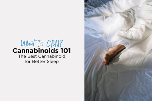 A foot sticking out of blankets with the morning sun creeping in