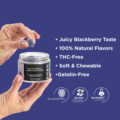 Blackberry CBD gummies